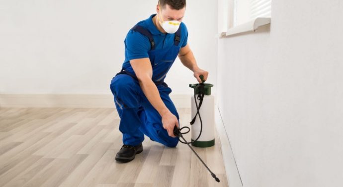 Tips for Selecting a Pest Control Service