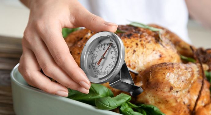 A Meat Thermometer Buying Guide