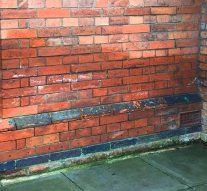 The Importance Of Damp Proofing